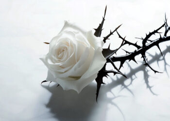 الشوک والقرنفل (کانٹے اور پھول) | چھٹی قسط