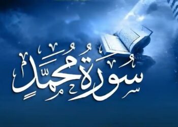 شاہراہِ محمد ﷺ