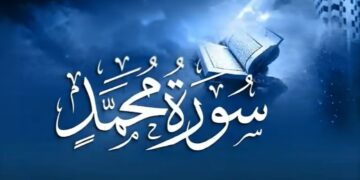شاہراہِ محمد ﷺ